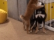 https://carssen.com/files/thumbnails/497/018/79x59.crop.jpg?20260910021958